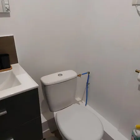 Seul Sous Les Toits De Dijon