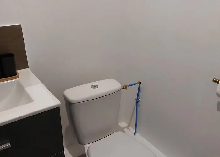 Seul Sous Les Toits De Дижон